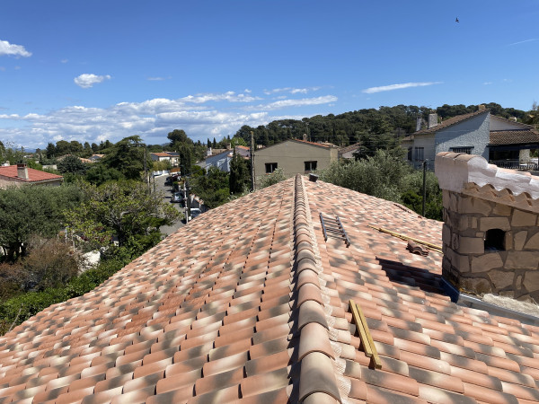 36ed4e1e-4bd0-403b-b81b-543adf55c202